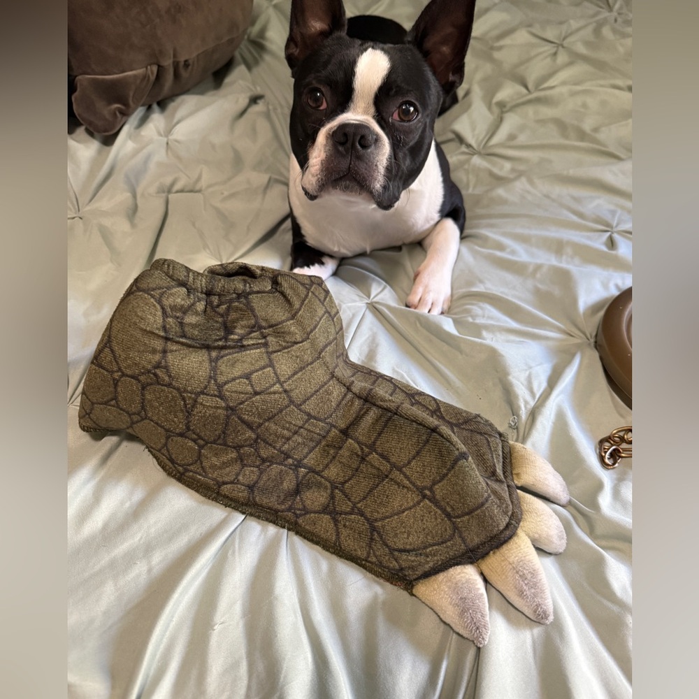 ❌SOLD❌Men's crocodile 🐊 Costume - Peter Pan - Picture 12 of 12